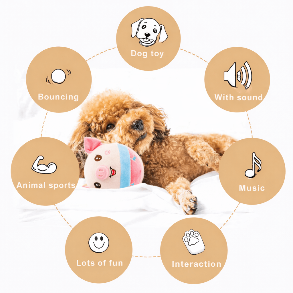 PAWSPHERE Intelligent SmartBall