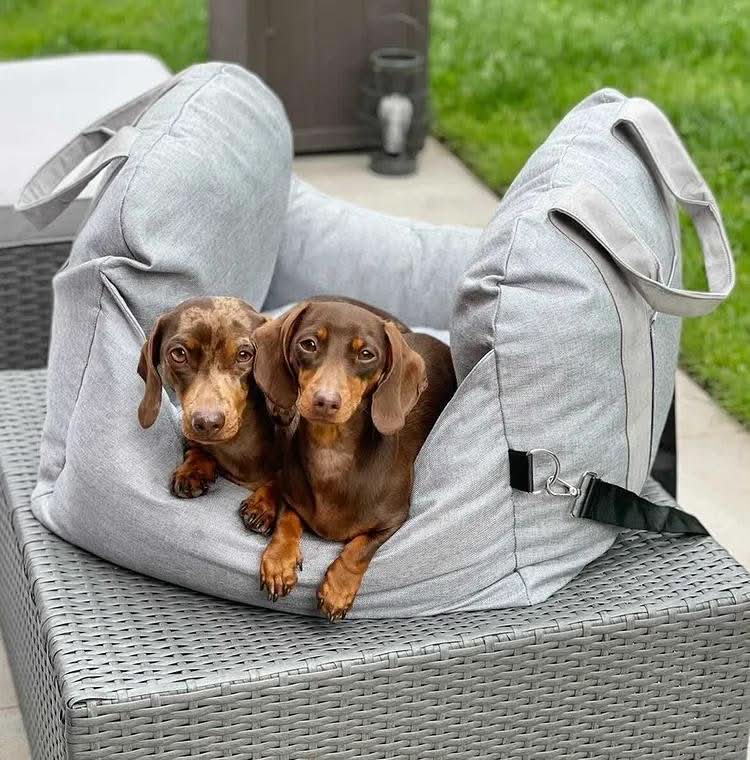 COMFYRIDE DOG SEAT Bed