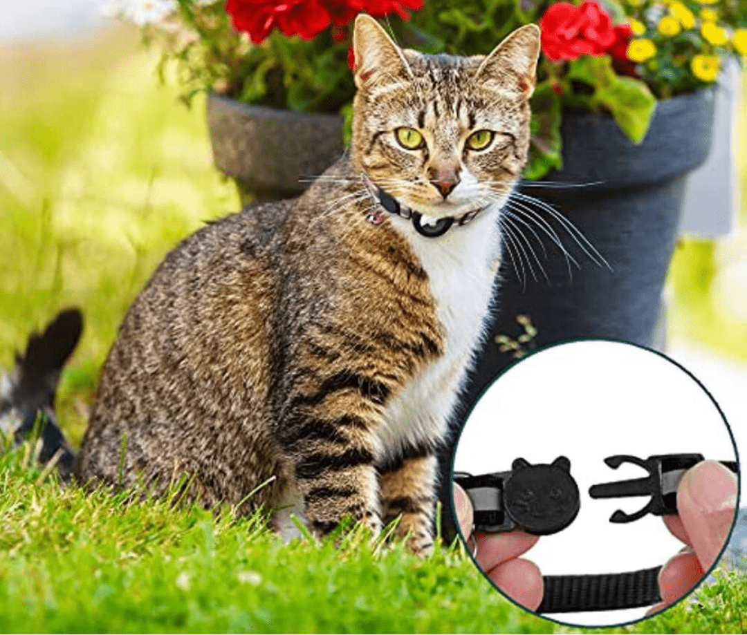CATGUARD GPS Collar for Cats