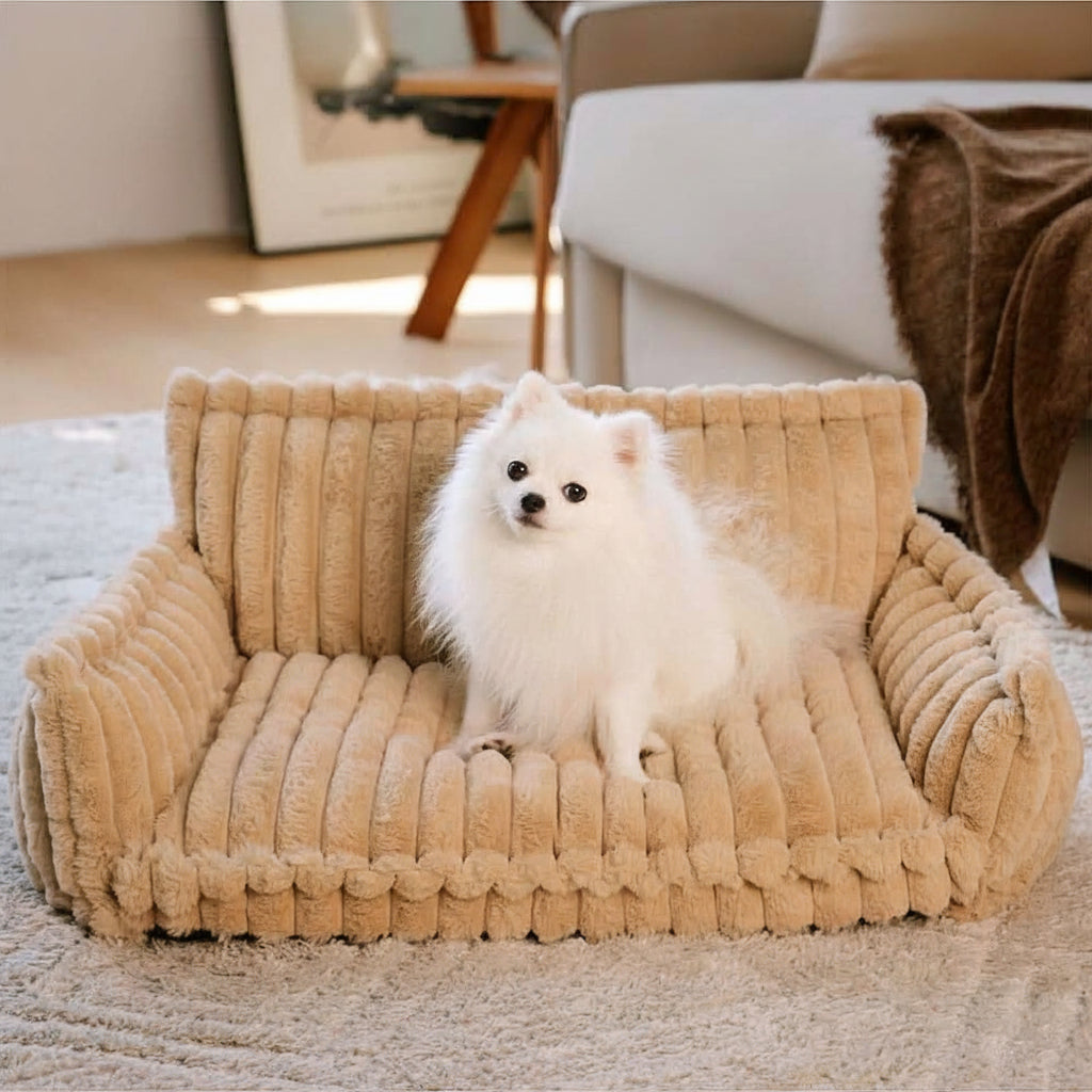 Snoozy Dream Orthopaedic Dog Cushion