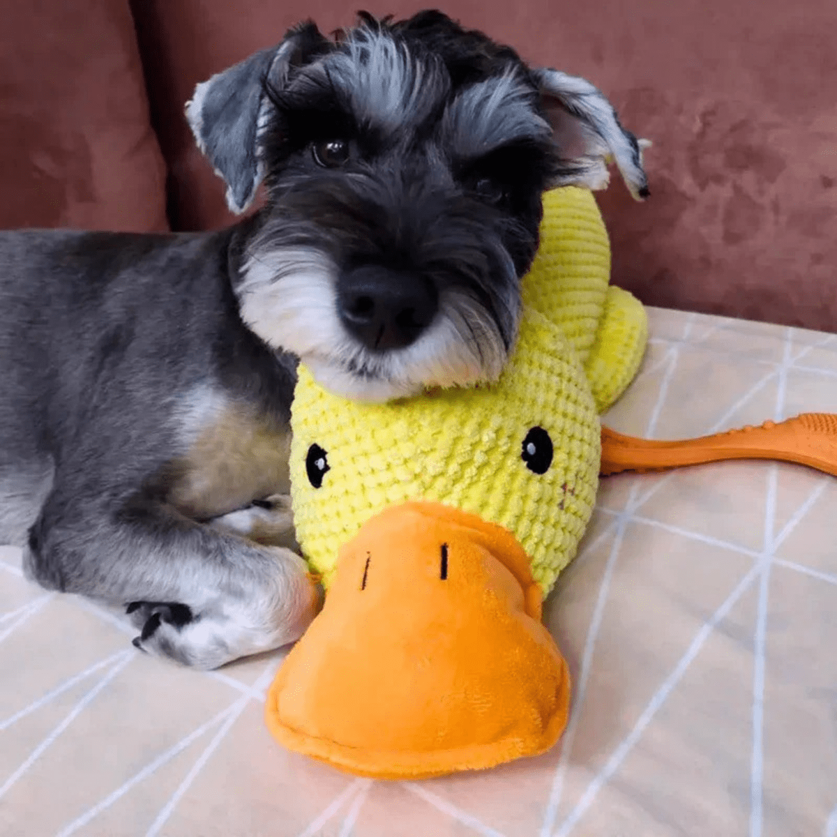 SnuggleBeak Plush Toy for Dogs Soft Squeaky Duck