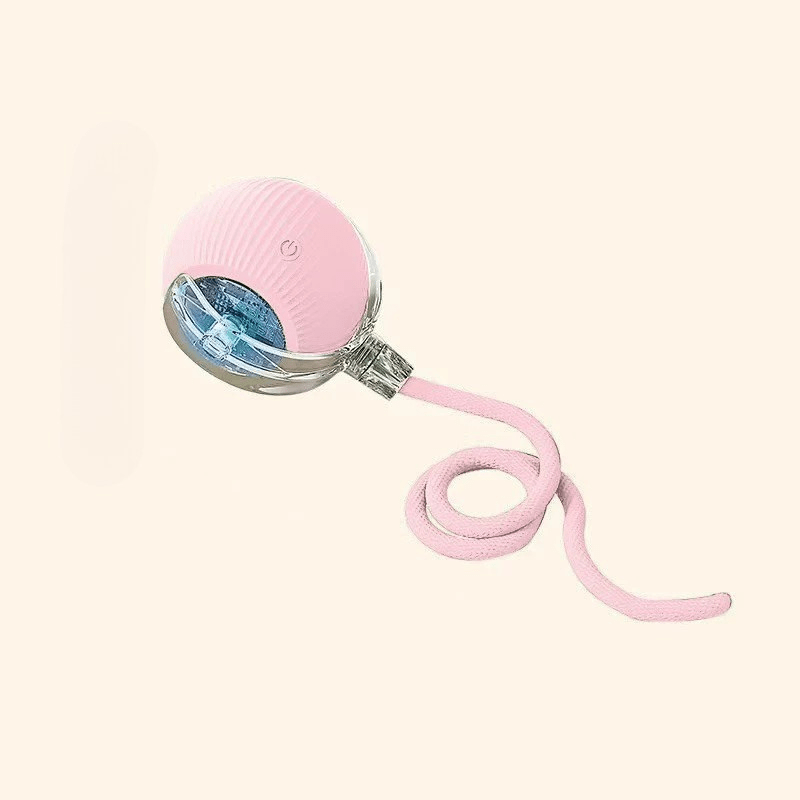 PLAYPET Interactive Dog Ball Rechargeable Bouncing Ball