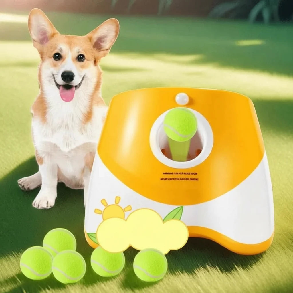 PLAYFETCH Automatic Ball Thrower