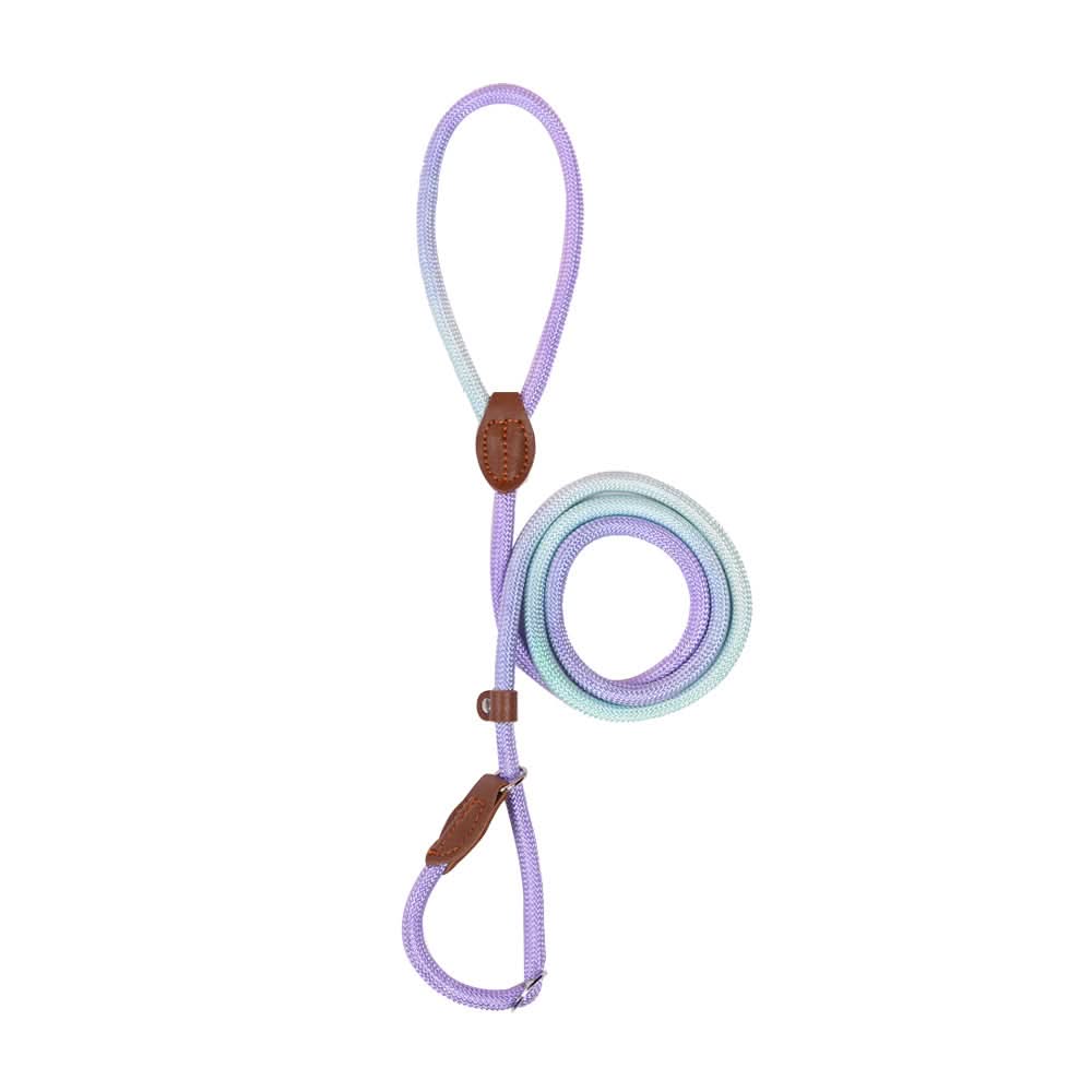 COLORLEASH Colorful Dog Leash