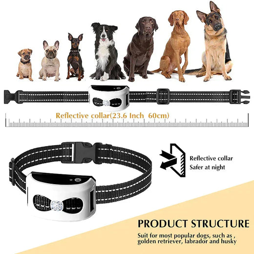 Wireless Dog Fence, 2-in-1 Dog Training Collar with 300 m Range, Waterproof & Rechargeable