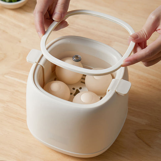 Egg Cooker, Electric Egg Boiler for Soft, Medium & Hard Boiled Eggs with Auto Shutdown, 4 Egg Capacity