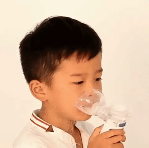 Portable Nebulizer, Rechargeable Ultrasonic Handheld Nebulizer with Mask for Adults & Kids
