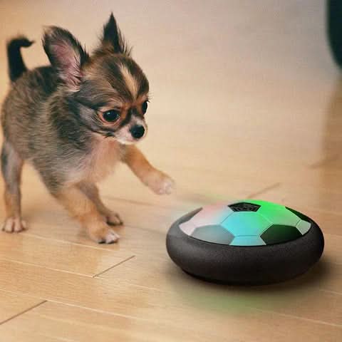 CHASESPARK Interactive Play Ball for Dogs