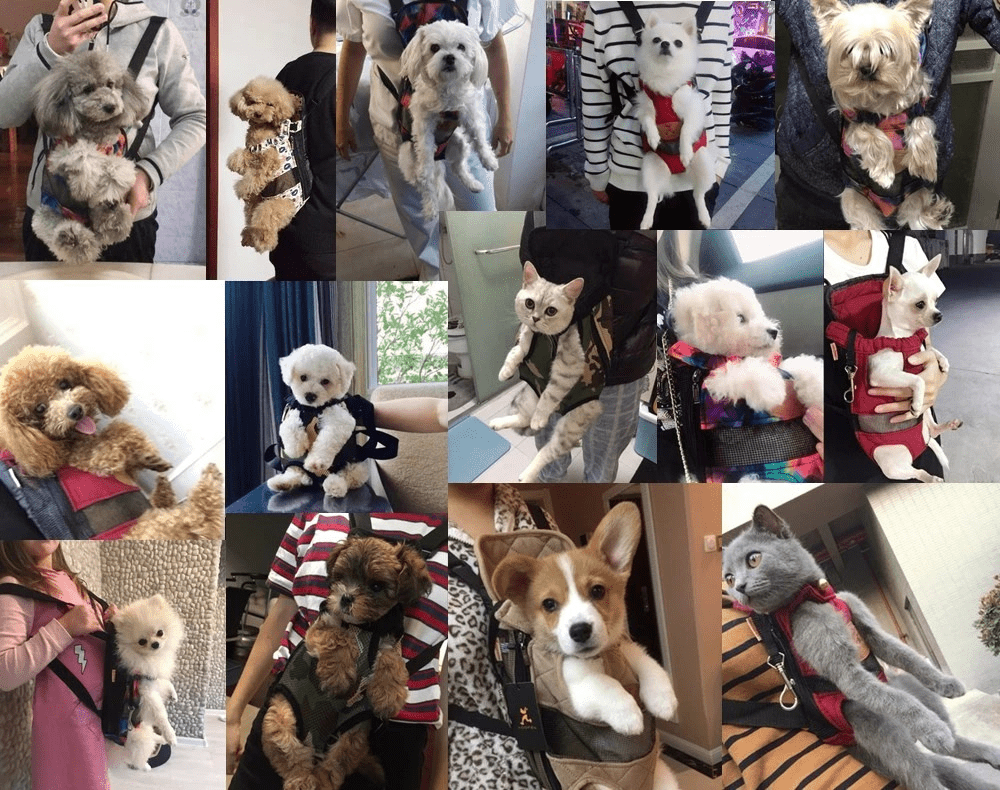 Travelbuddy Carrier Breathable Pet Travel Bag