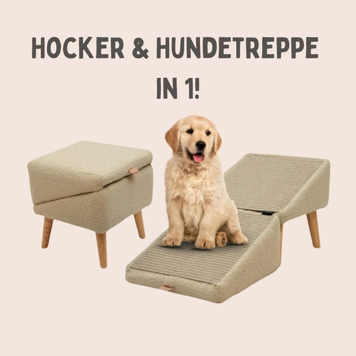 Dog Ramp for Bed and Sofa, Pet Ramp & Stool with Non-Slip Surface for Small & Senior Dogs