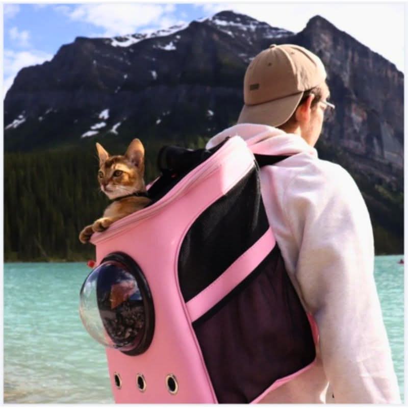 PANORIX Foldable Cat Travel Bag