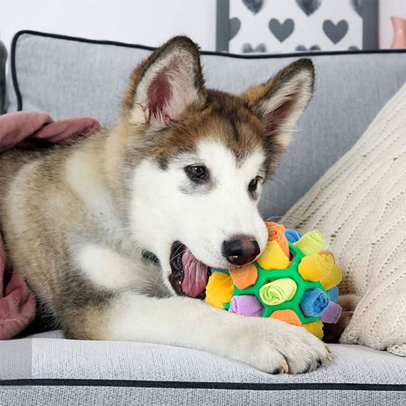 PAWZZLE MAT Interactive Sniffing Toy