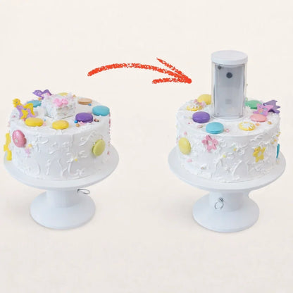 Surprise Reveal Cake Stand