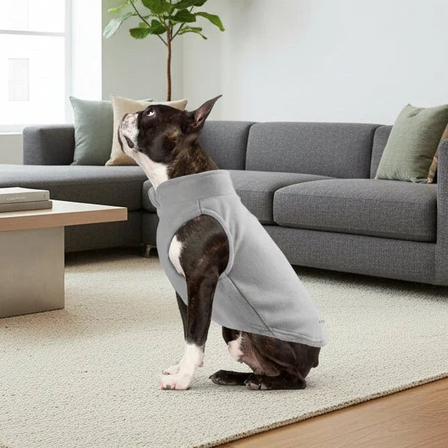 PETSNUG Warm Dog Vest