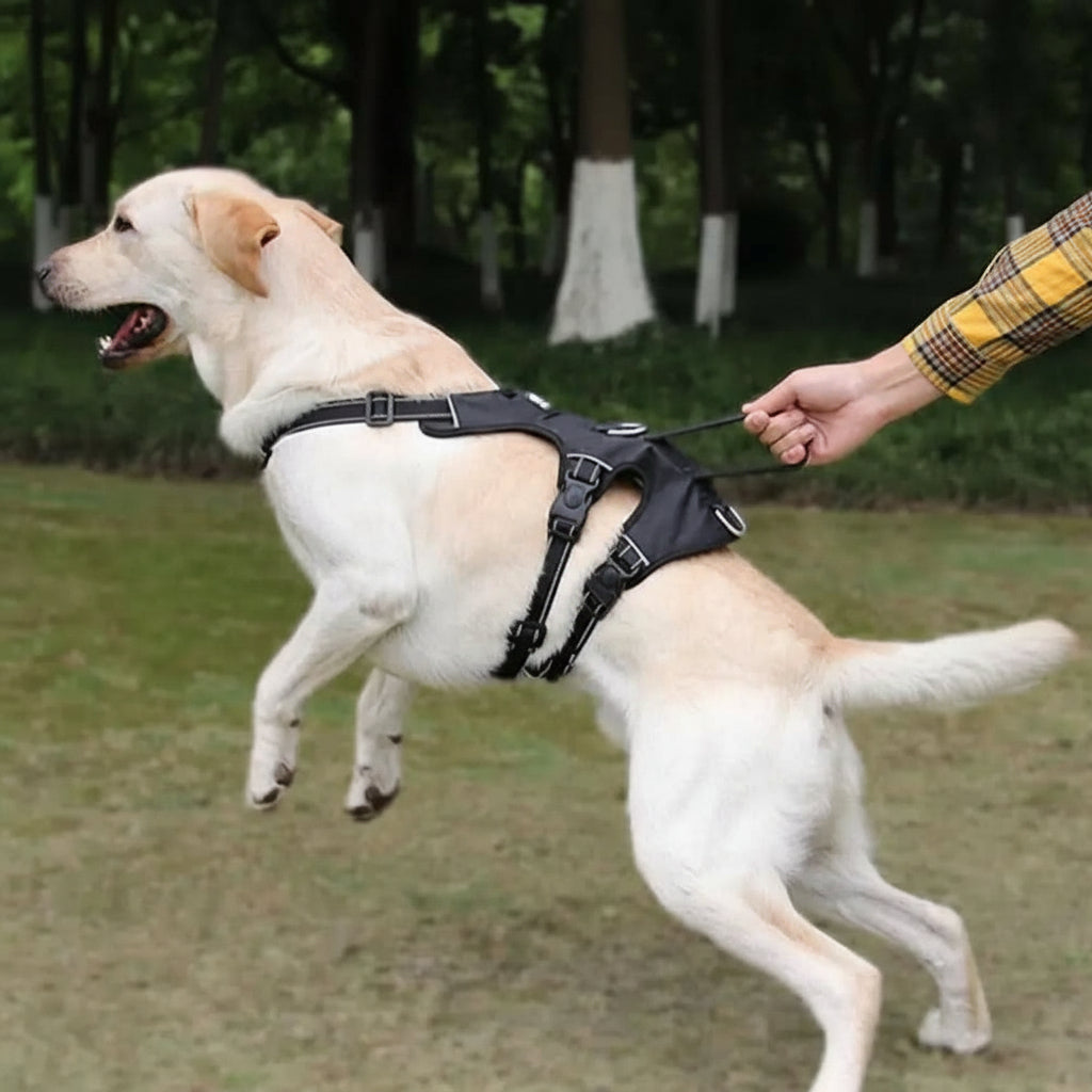 NOPULL DOG HARNESS Reflective