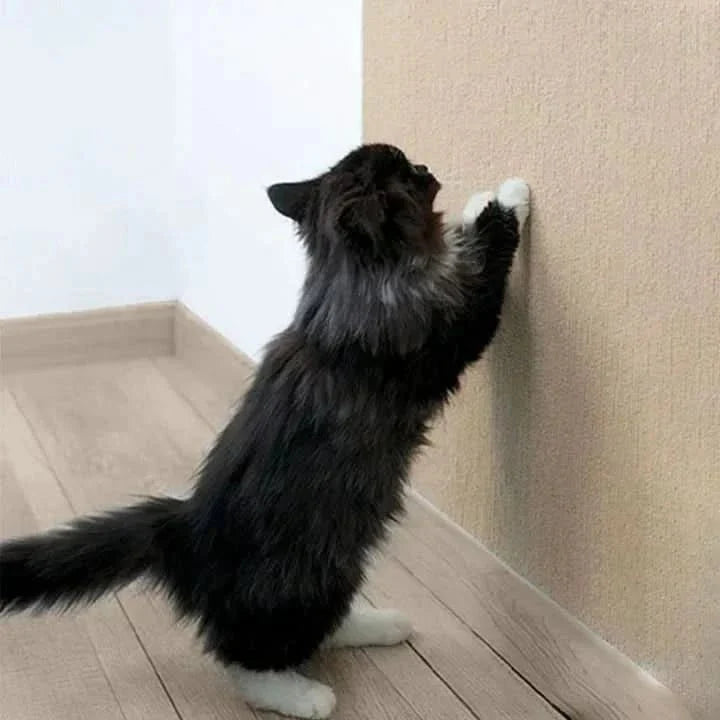 FURNISH GUARD Scratch Mat for Healthy Claw Care