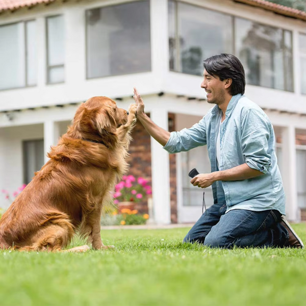 Anti Barking Device, Ultrasonic Dog Bark Deterrent