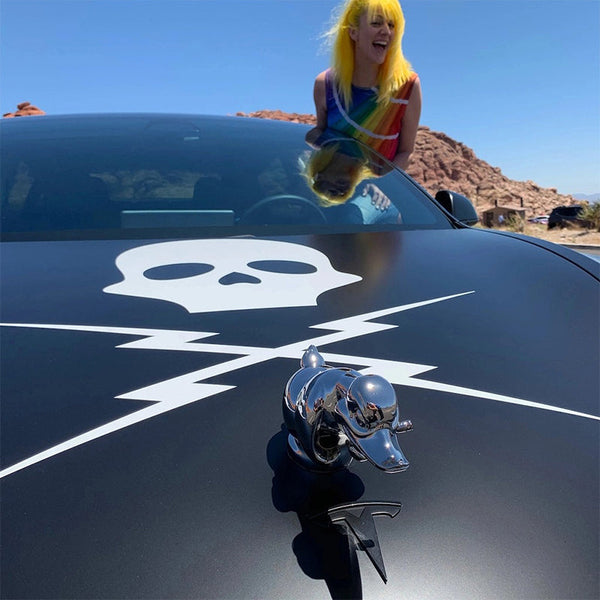 Rubber Duck Hood Ornament, Angry Duck Chrome Radiator Emblem with Pin Mount, Universal Fit