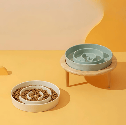 PAWSAVOR Premium Slow Feeder Bowl