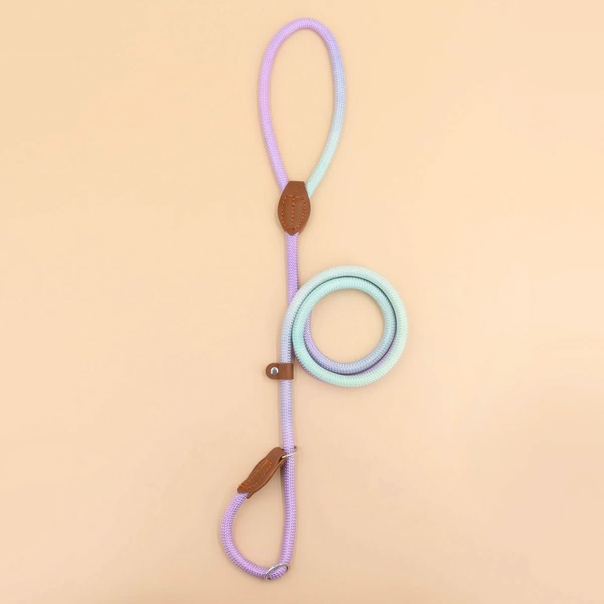 COLORLEASH Colorful Dog Leash