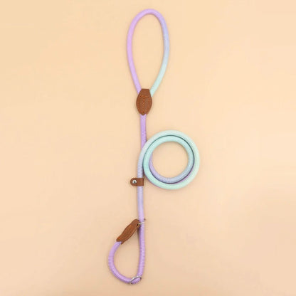 COLORLEASH Colorful Dog Leash