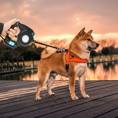 BRIGHTSTRIDE LED Dog Leash