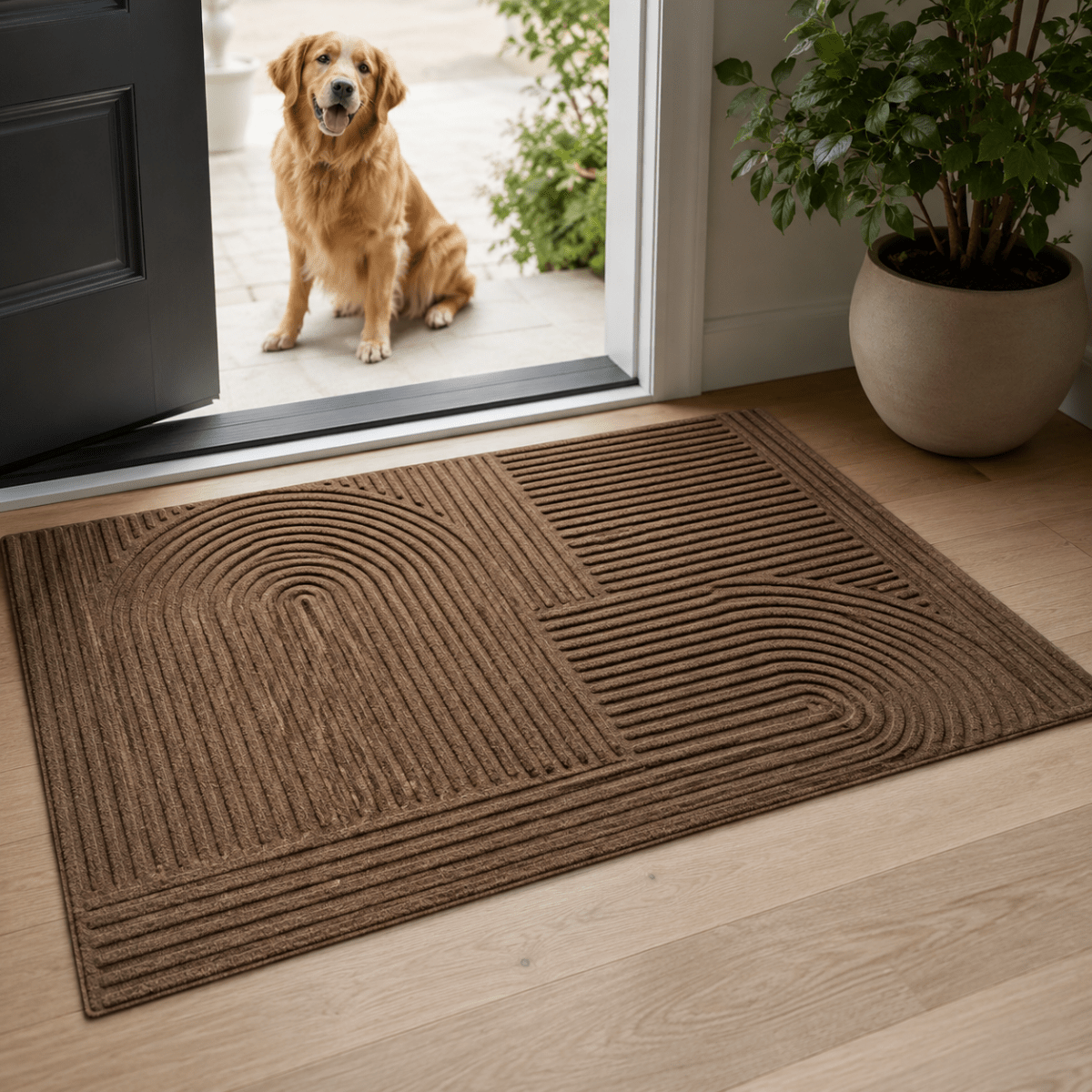AQUARAY Absorbent Washable Mat