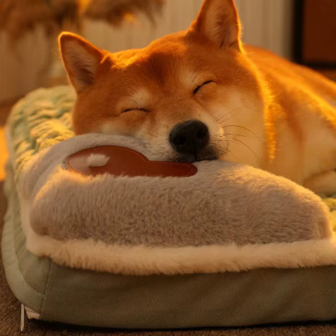Pawselle Orthopedic Memory Foam Pet Bed
