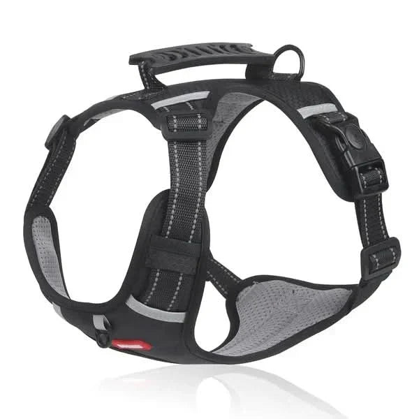 WalkEase Harness lifestyle image 2