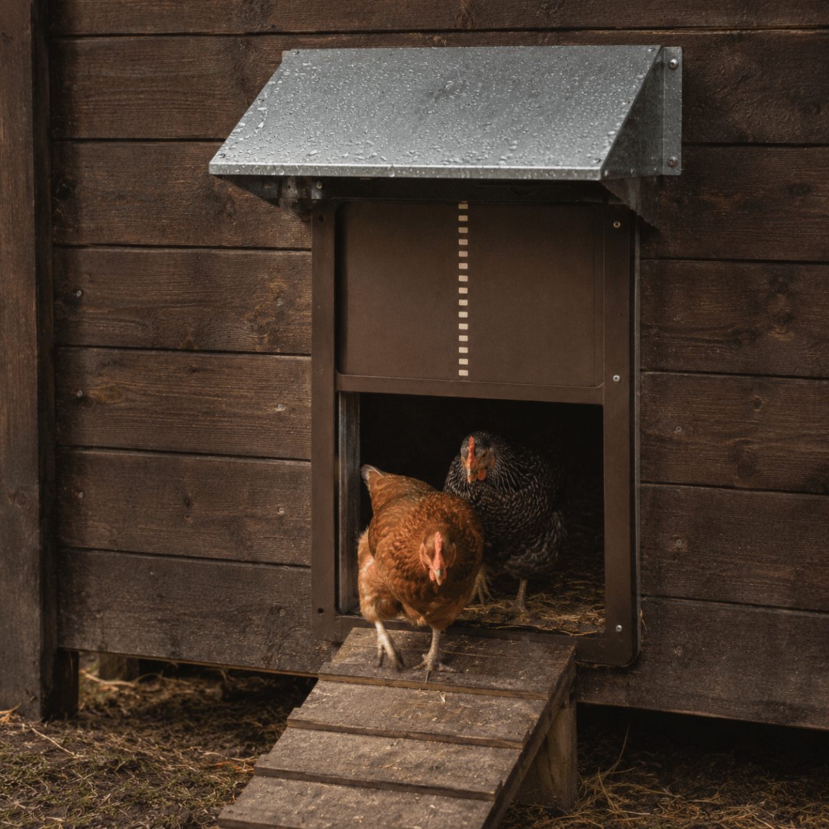 AUTOCOOP Automatic Chicken Coop Door