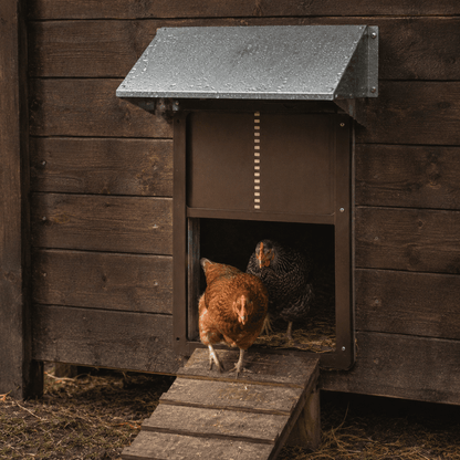 AUTOCOOP Automatic Chicken Coop Door