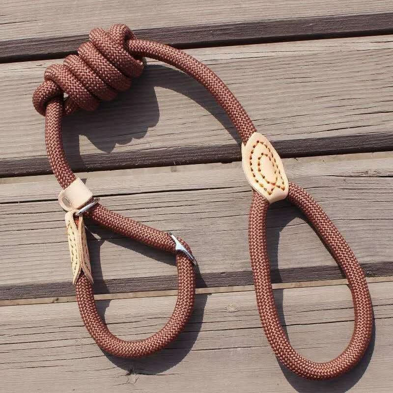 SECUREROPE Robust Dog Leash lifestyle image 1
