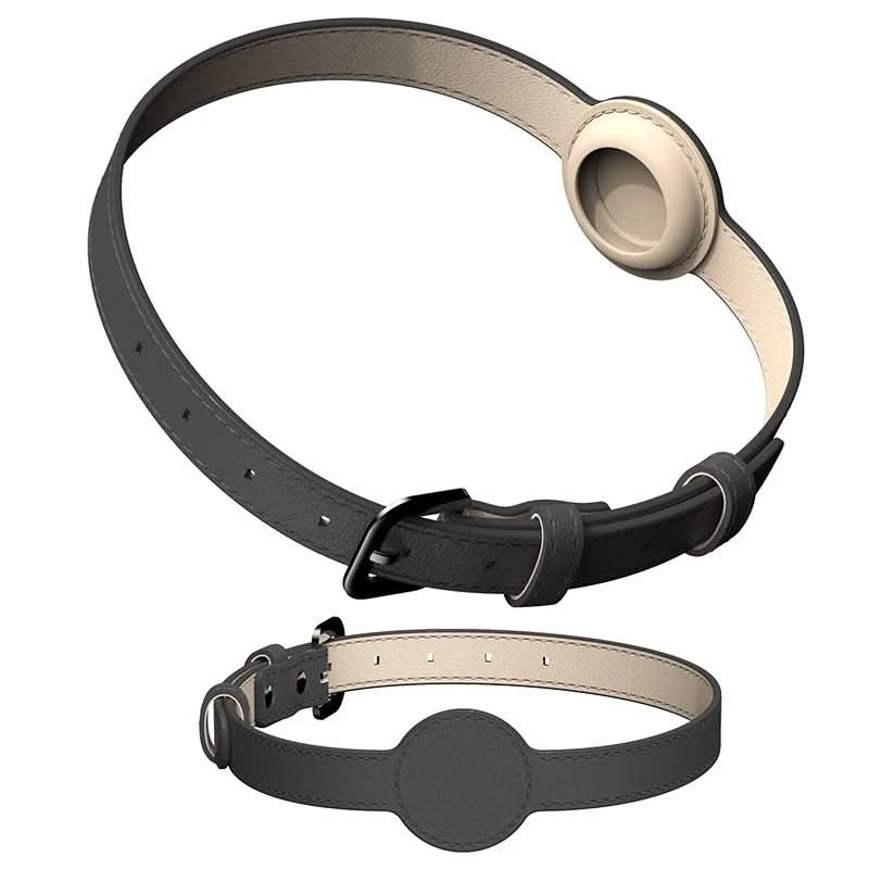 TAGSAFE Dog Collar lifestyle image 3