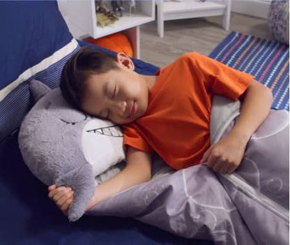 DreamiPals Sleeping Bag & Cuddly Friend
