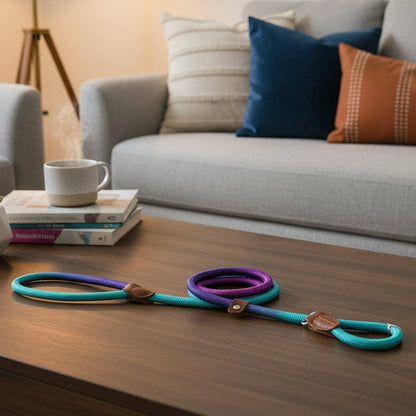 COLORLEASH Colorful Dog Leash