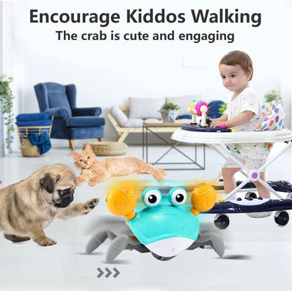 MoveeCrab Crawling Fun