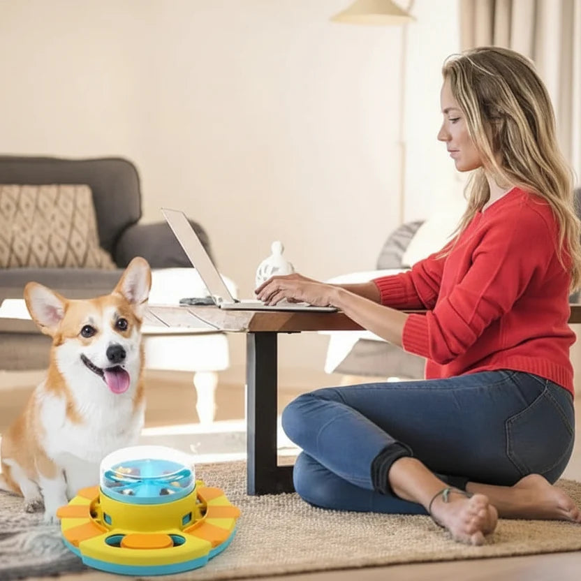 NIBBLEMAZE Interactive Anti-Gulping Bowl
