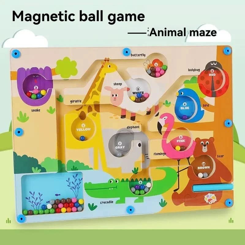 ColorQuest Magnetic Colour and Number Game