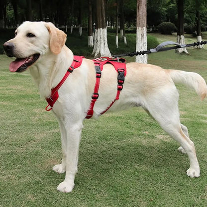 NOPULL DOG HARNESS Reflective