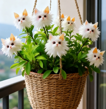 Magic Cat's-Eye Flower Seeds