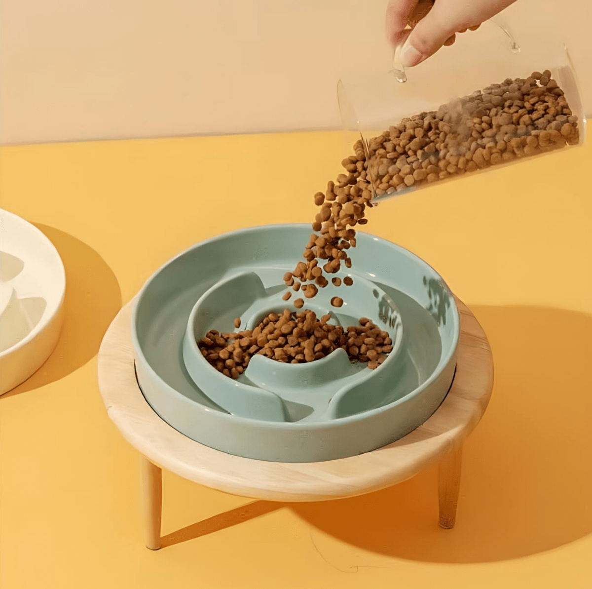 PAWSAVOR Premium Slow Feeder Bowl