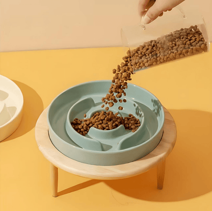 PAWSAVOR Premium Slow Feeder Bowl