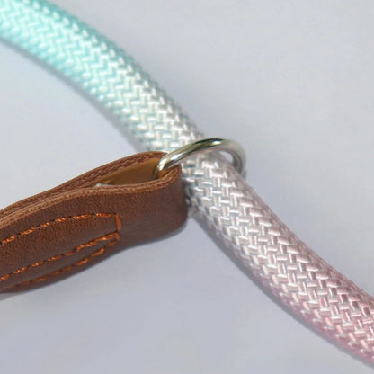 COLORLEASH Colorful Dog Leash