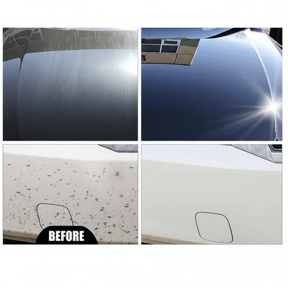 CarShield Brilliance Paint Sealant