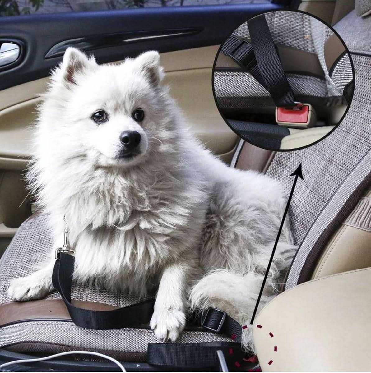 PETECURE Adjustable Safety Belt for Pets
