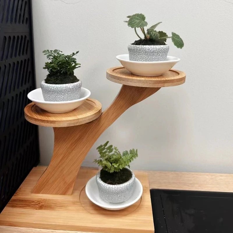 BAMBOZEN Minimalist Bamboo Stand