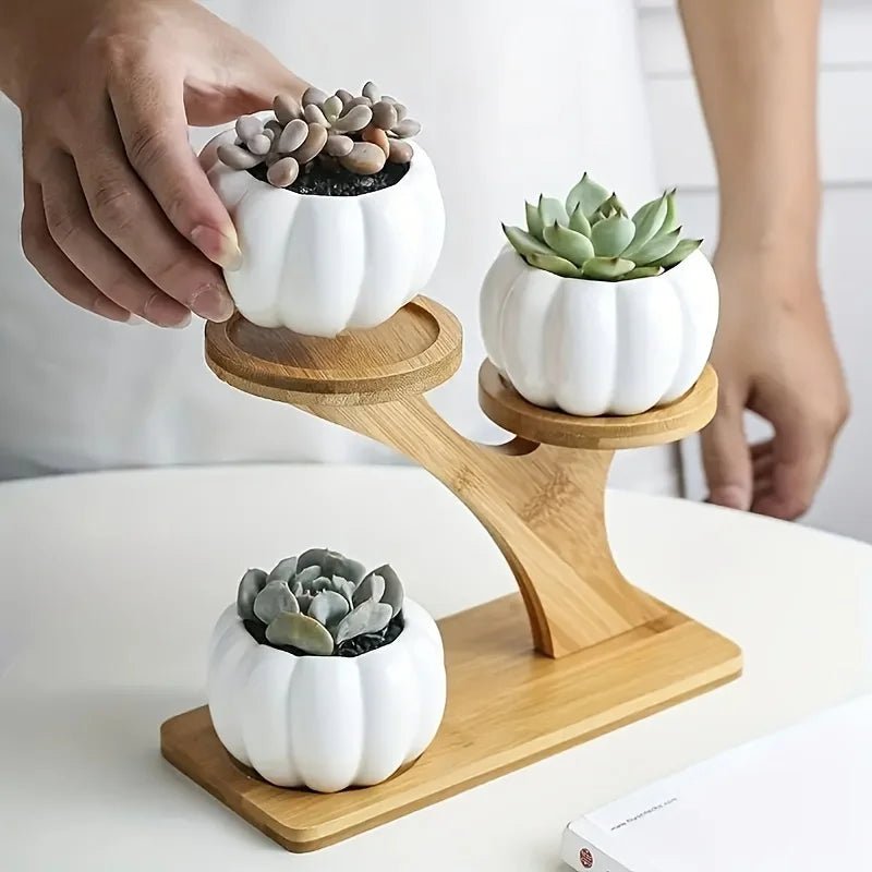 BAMBOZEN Minimalist Bamboo Stand