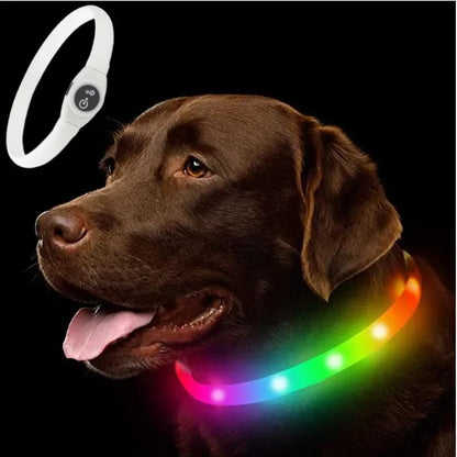 WOOFBEAM LED Light Collar for Dogs