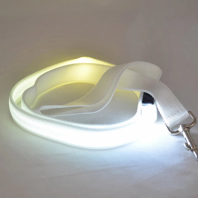 BRIGHTBARK LED Dog Leash