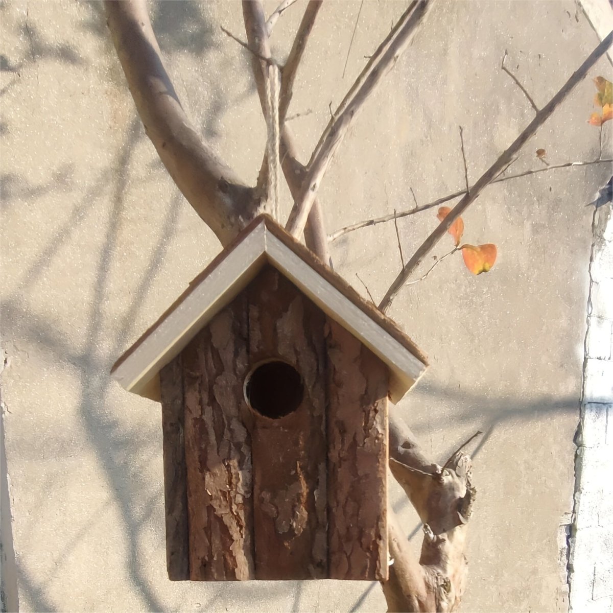 HOLLOWSHED High-quality Wooden Bird Protection